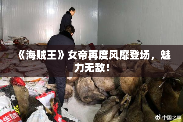 《海贼王》女帝再度风靡登场，魅力无敌！