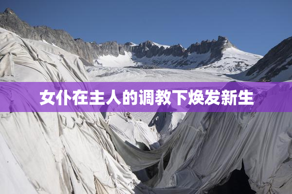 女仆在主人的调教下焕发新生