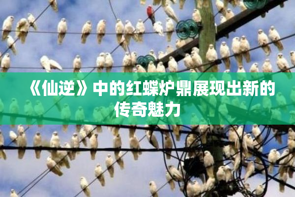 《仙逆》中的红蝶炉鼎展现出新的传奇魅力