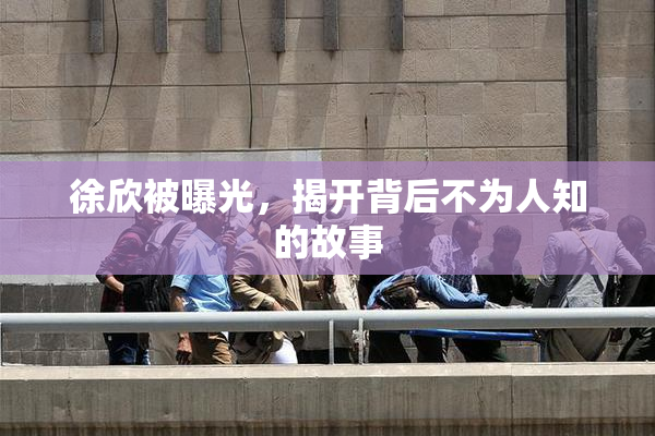 徐欣被曝光，揭开背后不为人知的故事