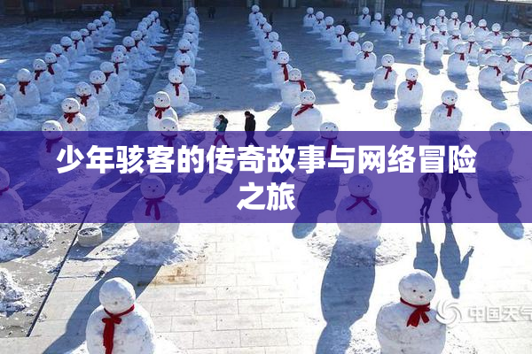 少年骇客的传奇故事与网络冒险之旅