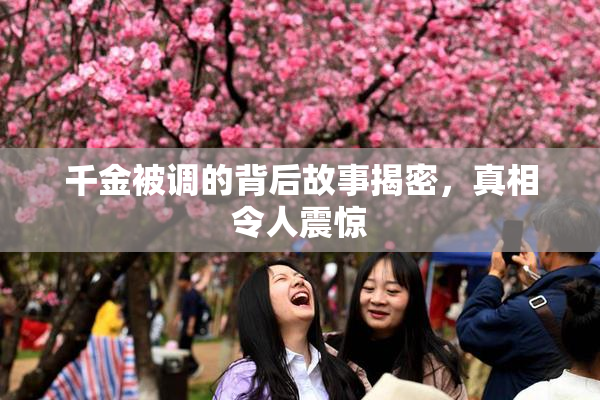 千金被调的背后故事揭密，真相令人震惊