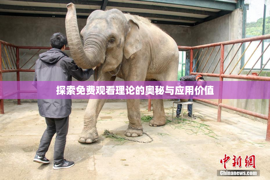 探索免费观看理论的奥秘与应用价值