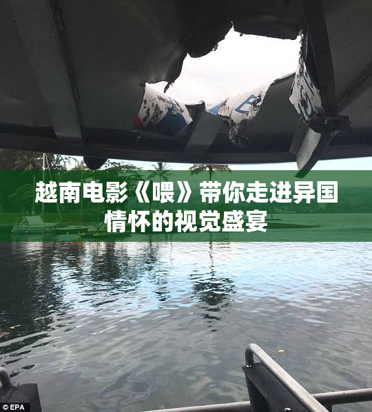 越南电影《喂》带你走进异国情怀的视觉盛宴