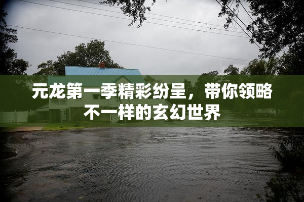 元龙第一季精彩纷呈，带你领略不一样的玄幻世界