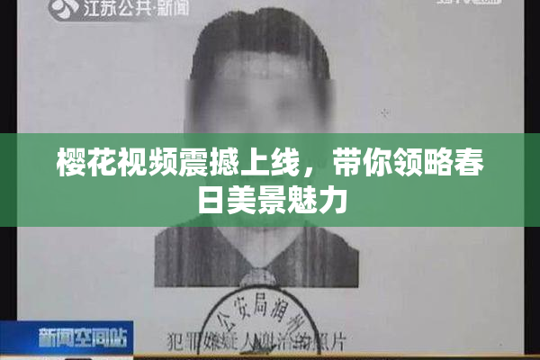 樱花视频震撼上线，带你领略春日美景魅力