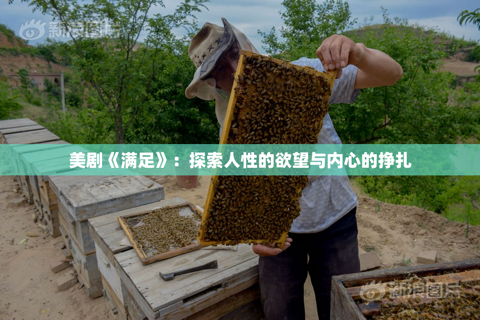 美剧《满足》：探索人性的欲望与内心的挣扎