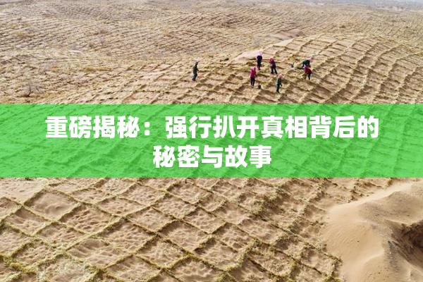 重磅揭秘：强行扒开真相背后的秘密与故事