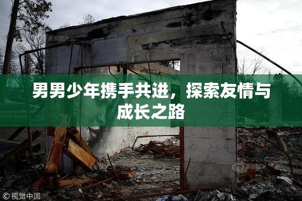 男男少年携手共进，探索友情与成长之路