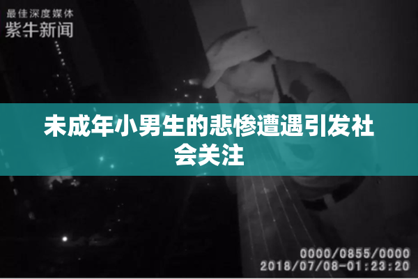 未成年小男生的悲惨遭遇引发社会关注