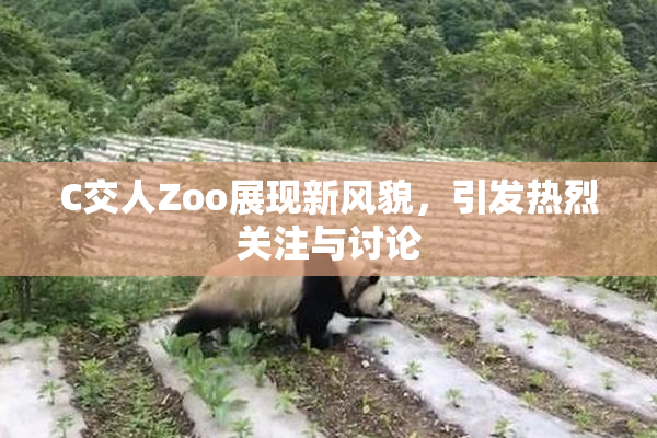 C交人Zoo展现新风貌，引发热烈关注与讨论
