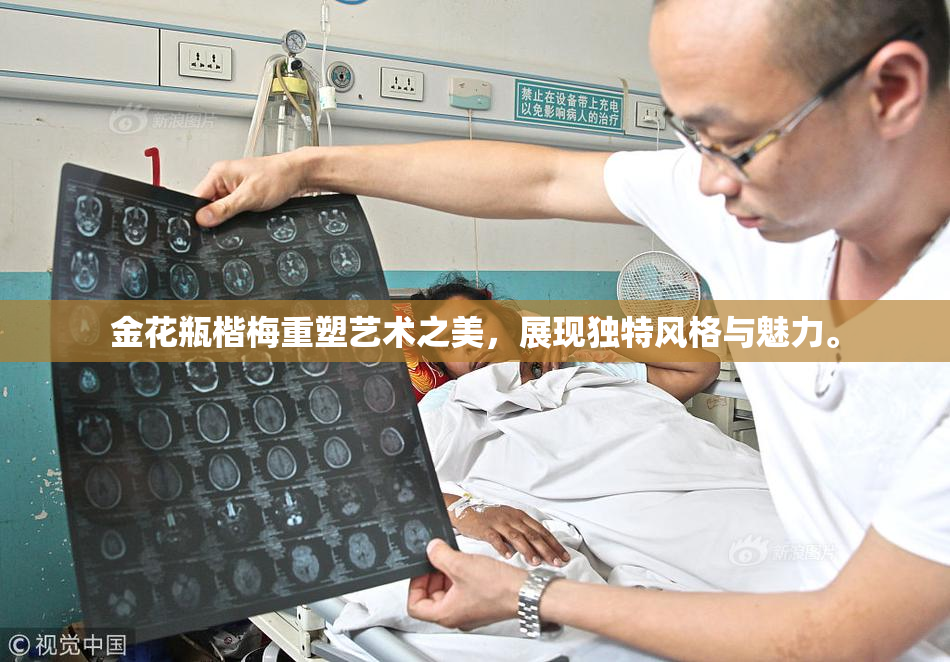 金花瓶楷梅重塑艺术之美，展现独特风格与魅力。