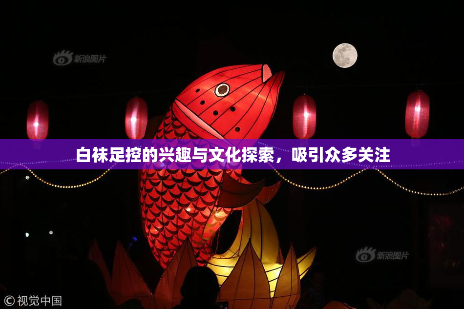 白袜足控的兴趣与文化探索，吸引众多关注