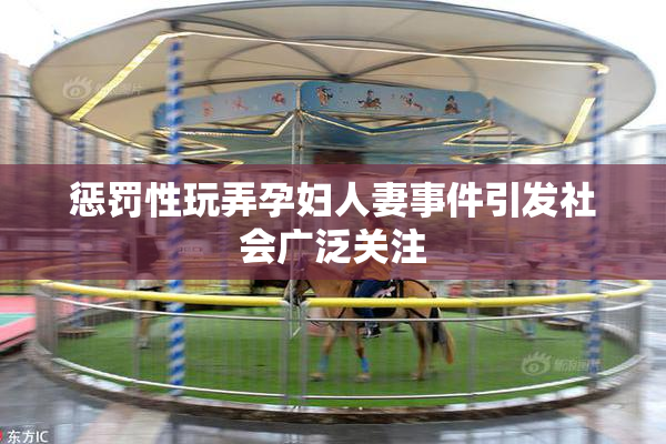 惩罚性玩弄孕妇人妻事件引发社会广泛关注