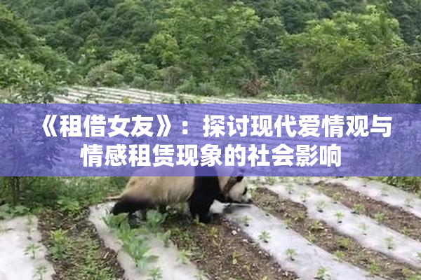 《租借女友》：探讨现代爱情观与情感租赁现象的社会影响