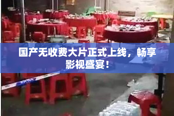 国产无收费大片正式上线，畅享影视盛宴！