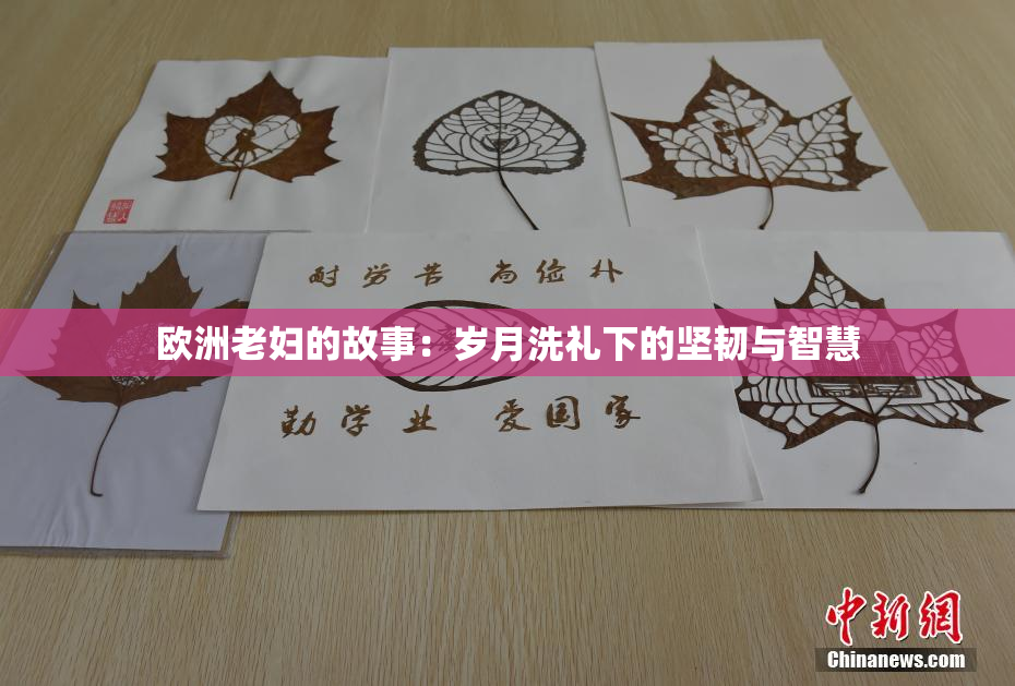 欧洲老妇的故事：岁月洗礼下的坚韧与智慧
