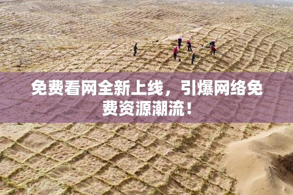 免费看网全新上线，引爆网络免费资源潮流！