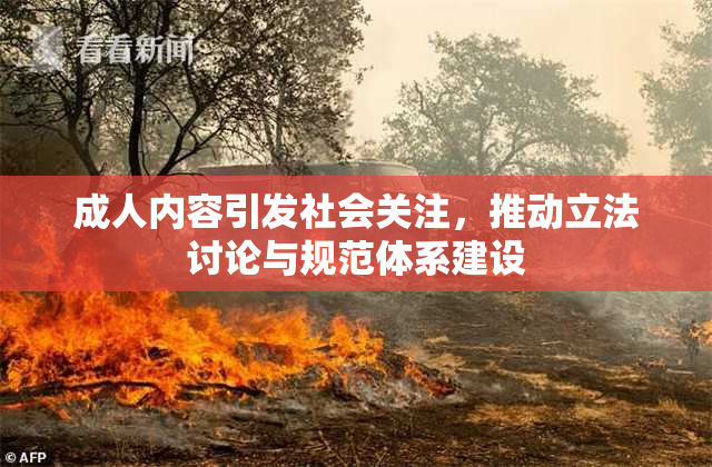 成人内容引发社会关注，推动立法讨论与规范体系建设