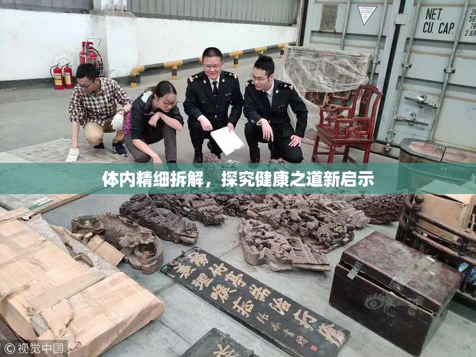 体内精细拆解，探究健康之道新启示