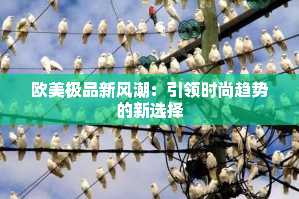 欧美极品新风潮：引领时尚趋势的新选择