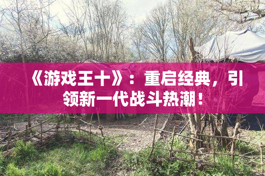 《游戏王十》：重启经典，引领新一代战斗热潮！