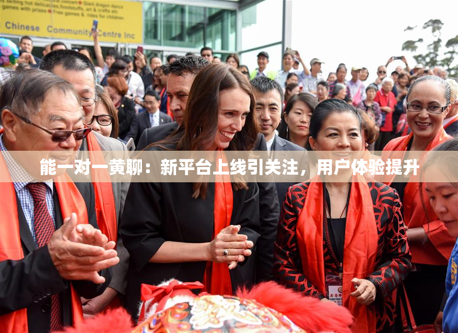 能一对一黄聊：新平台上线引关注，用户体验提升