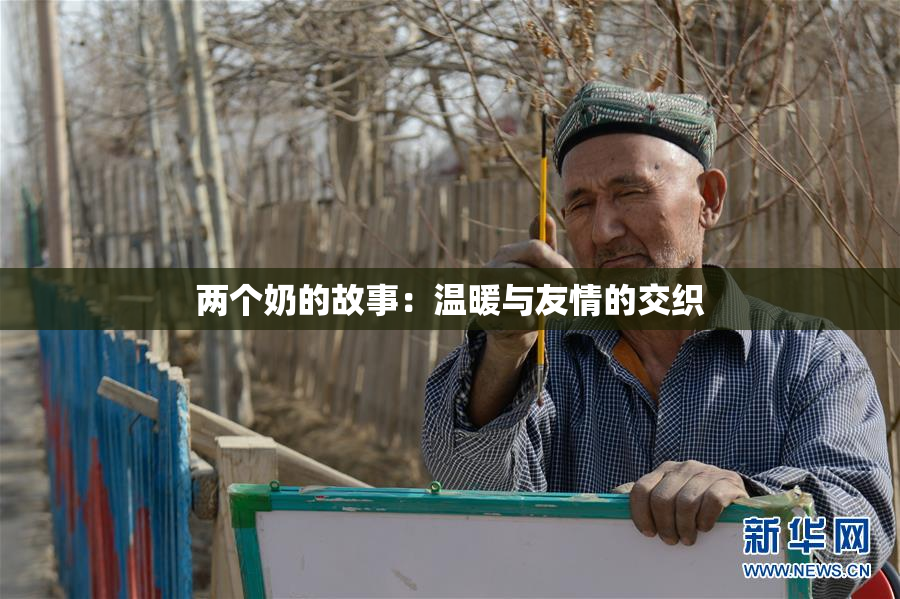 两个奶的故事：温暖与友情的交织