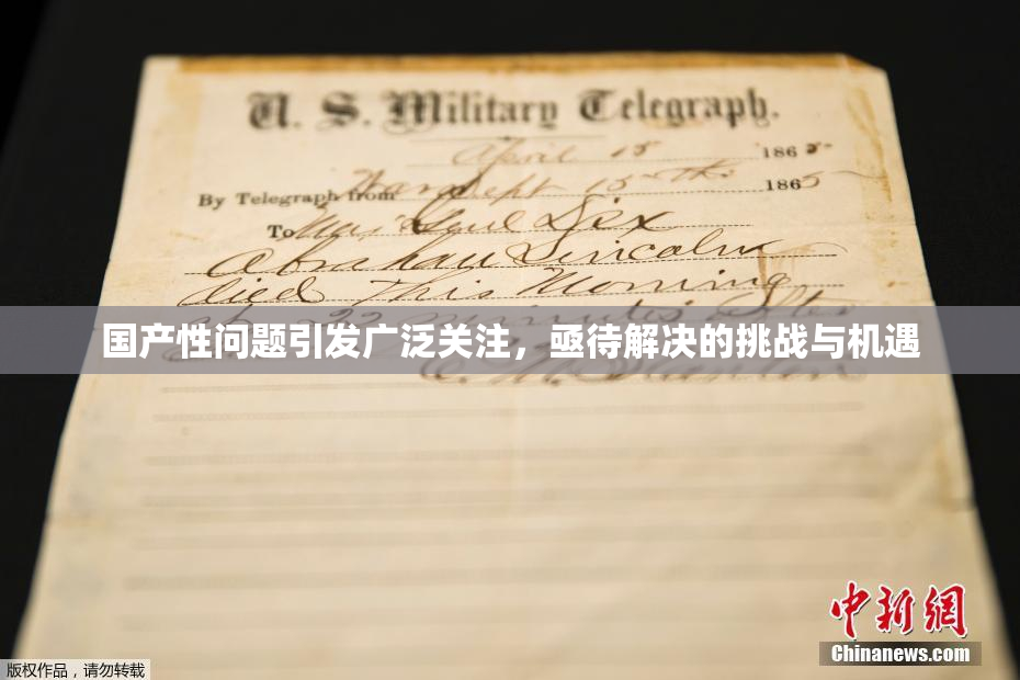 国产性问题引发广泛关注，亟待解决的挑战与机遇