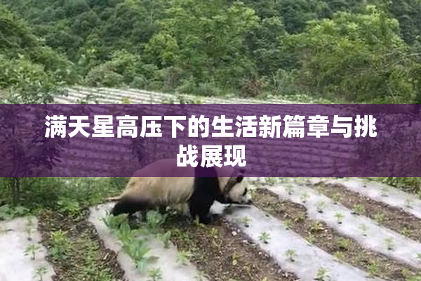 满天星高压下的生活新篇章与挑战展现