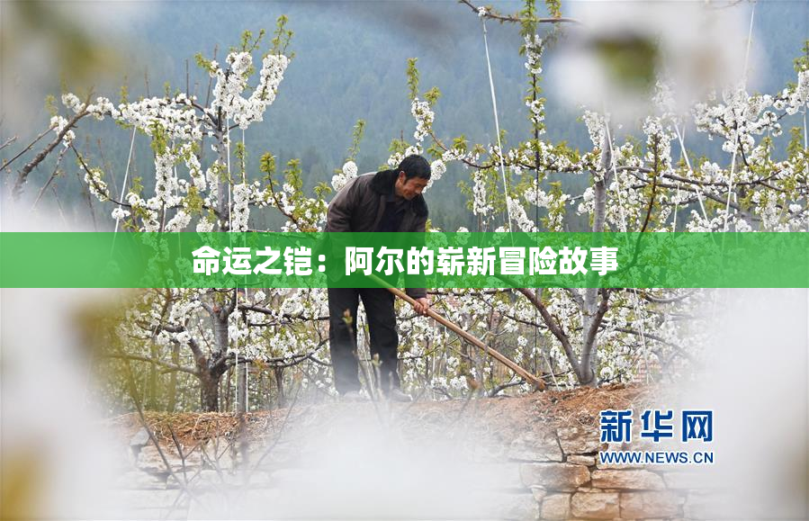 命运之铠：阿尔的崭新冒险故事