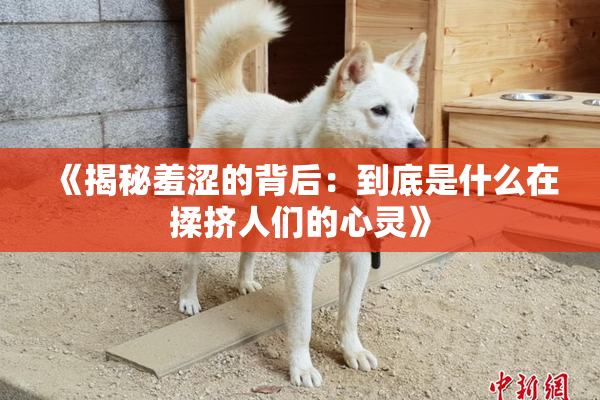 《揭秘羞涩的背后：到底是什么在揉挤人们的心灵》