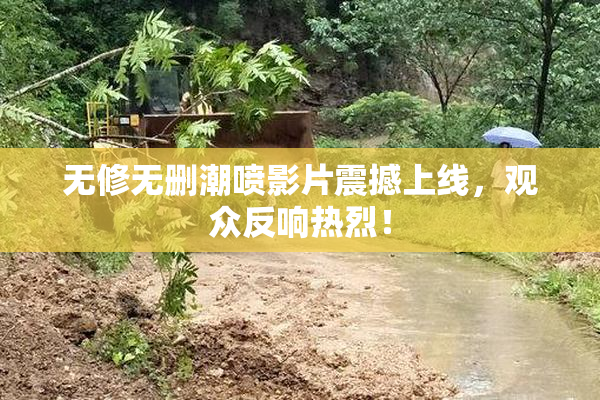 无修无删潮喷影片震撼上线，观众反响热烈！