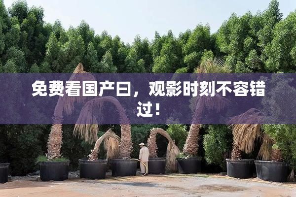 免费看国产曰，观影时刻不容错过！