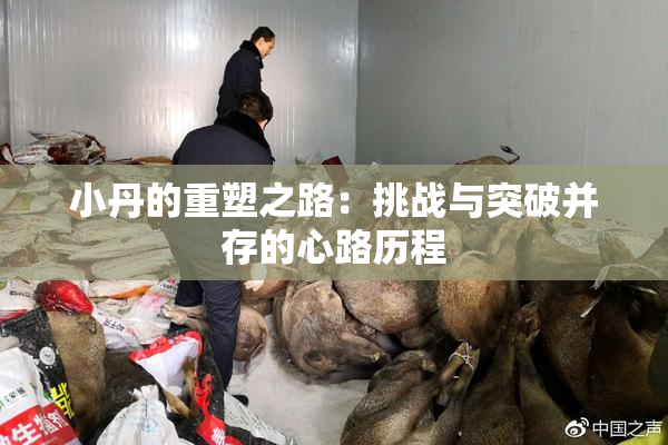 小丹的重塑之路：挑战与突破并存的心路历程