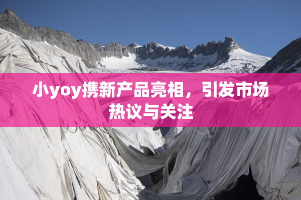 小yoy携新产品亮相，引发市场热议与关注