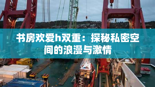 书房欢爱h双重：探秘私密空间的浪漫与激情