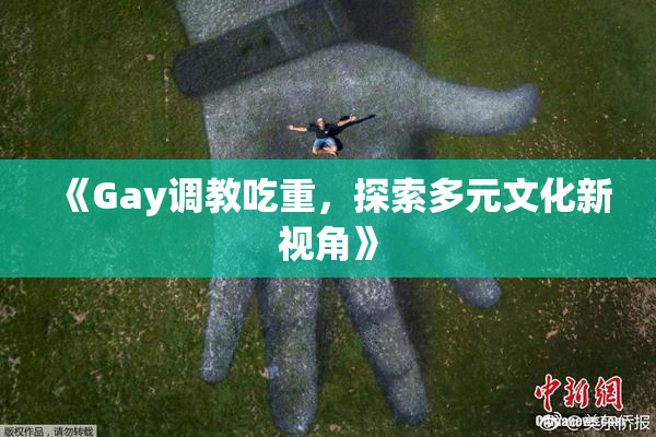 《Gay调教吃重，探索多元文化新视角》