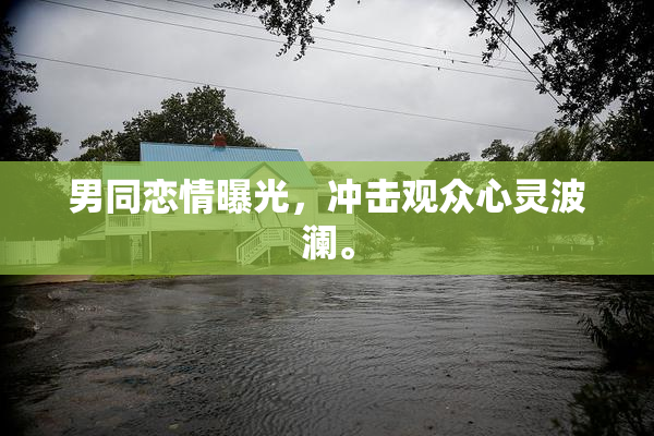 男同恋情曝光，冲击观众心灵波澜。