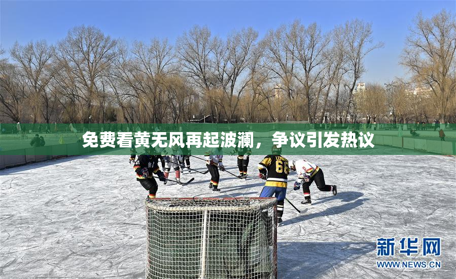 免费看黄无风再起波澜，争议引发热议