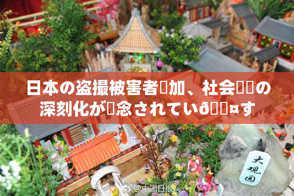 日本の盗撮被害者増加、社会問題の深刻化が懸念されてい🖤す