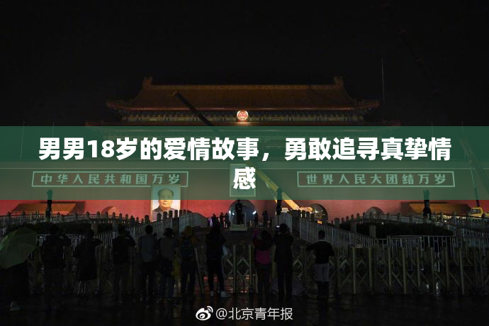 男男18岁的爱情故事，勇敢追寻真挚情感
