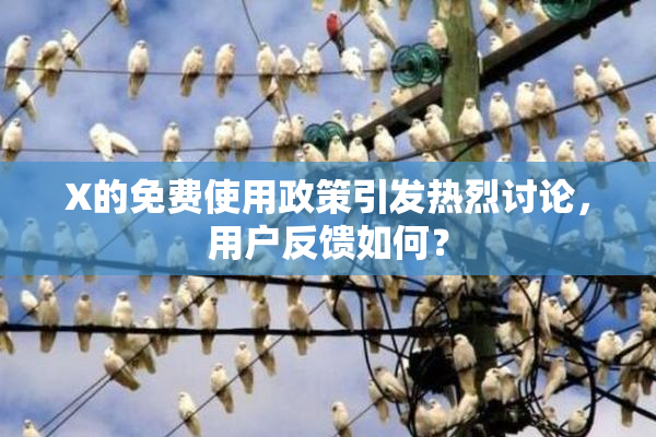 X的免费使用政策引发热烈讨论，用户反馈如何？