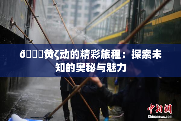 🔞黄ζ动的精彩旅程：探索未知的奥秘与魅力
