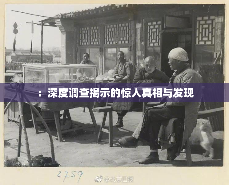 ：深度调查揭示的惊人真相与发现