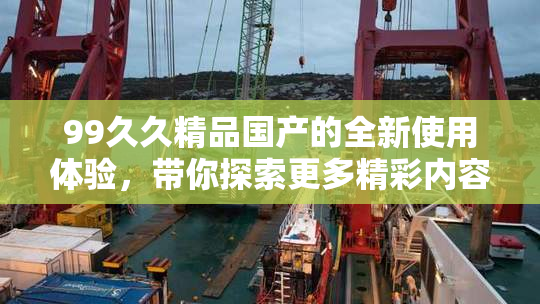 99久久精品国产的全新使用体验，带你探索更多精彩内容。
