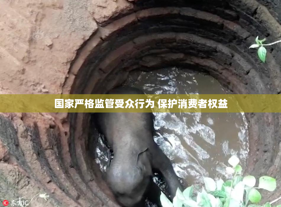 国家严格监管受众行为 保护消费者权益