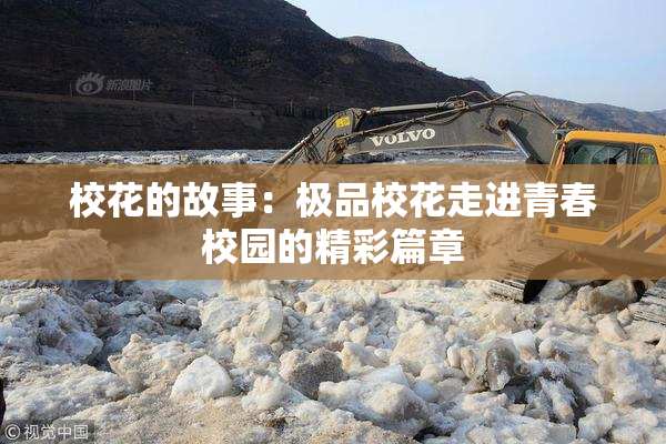 校花的故事：极品校花走进青春校园的精彩篇章