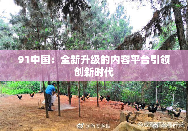 91中国：全新升级的内容平台引领创新时代
