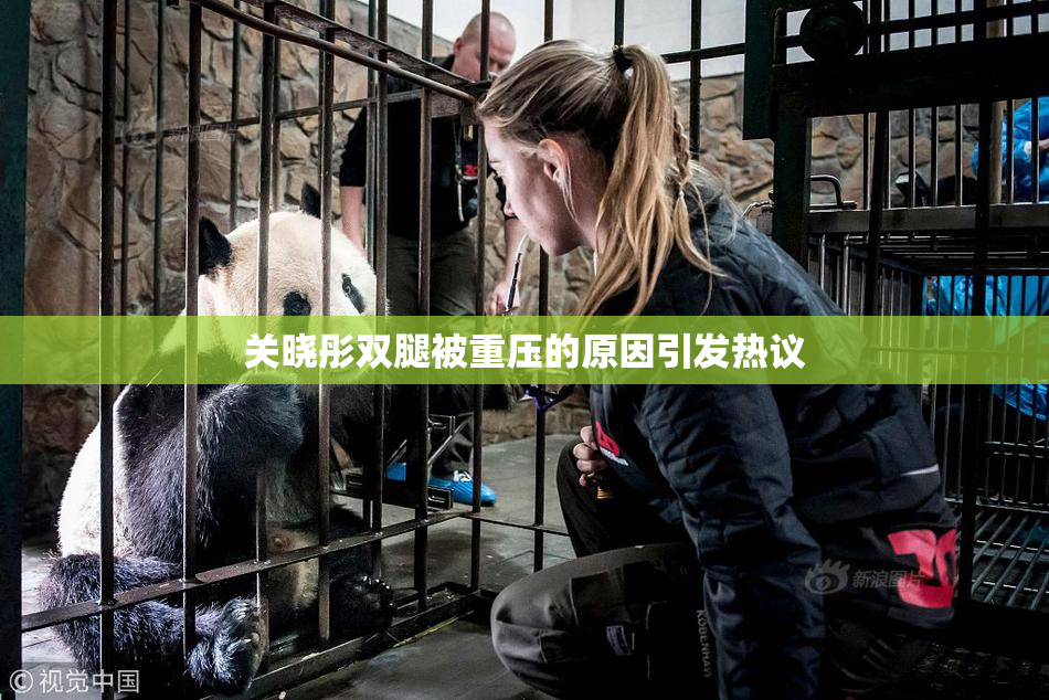 关晓彤双腿被重压的原因引发热议